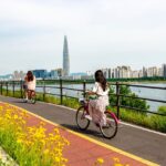 ✨Fun Things to Do in Korea: More Than Just Sightseeing