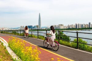 ✨Fun Things to Do in Korea: More Than Just Sightseeing