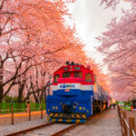 Korea weather guide, the best weather to travel Korea